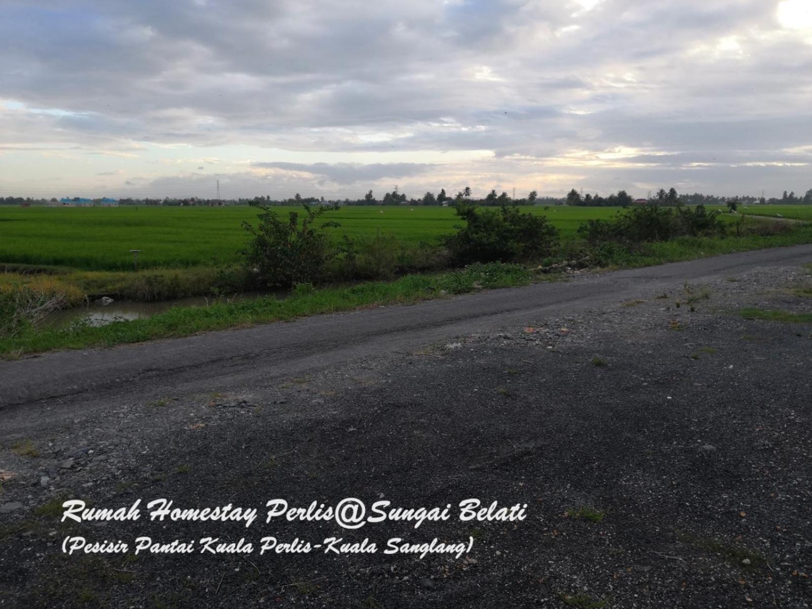 فيلا Rhumah Sungai Belati Simpang Empat  المظهر الخارجي الصورة